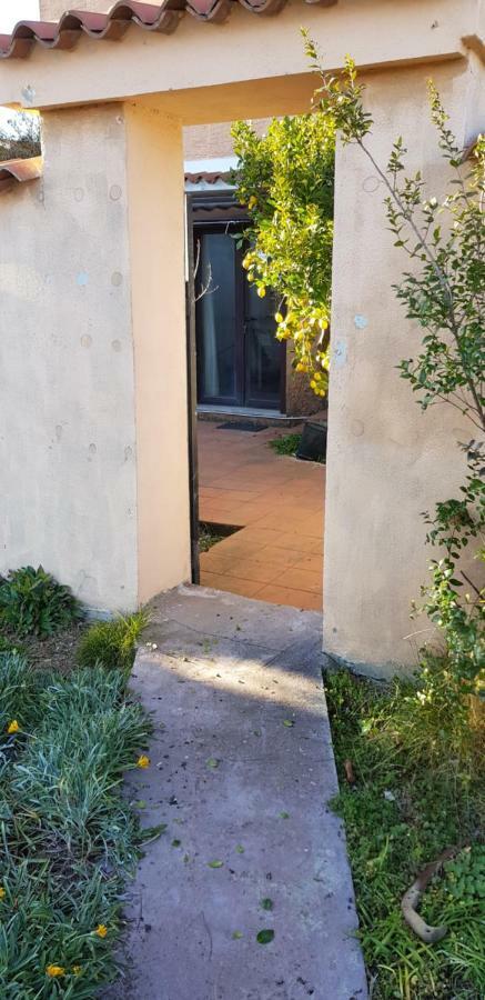 Appartamento Monolocale con giardino indipendente Nuoro  Esterno foto